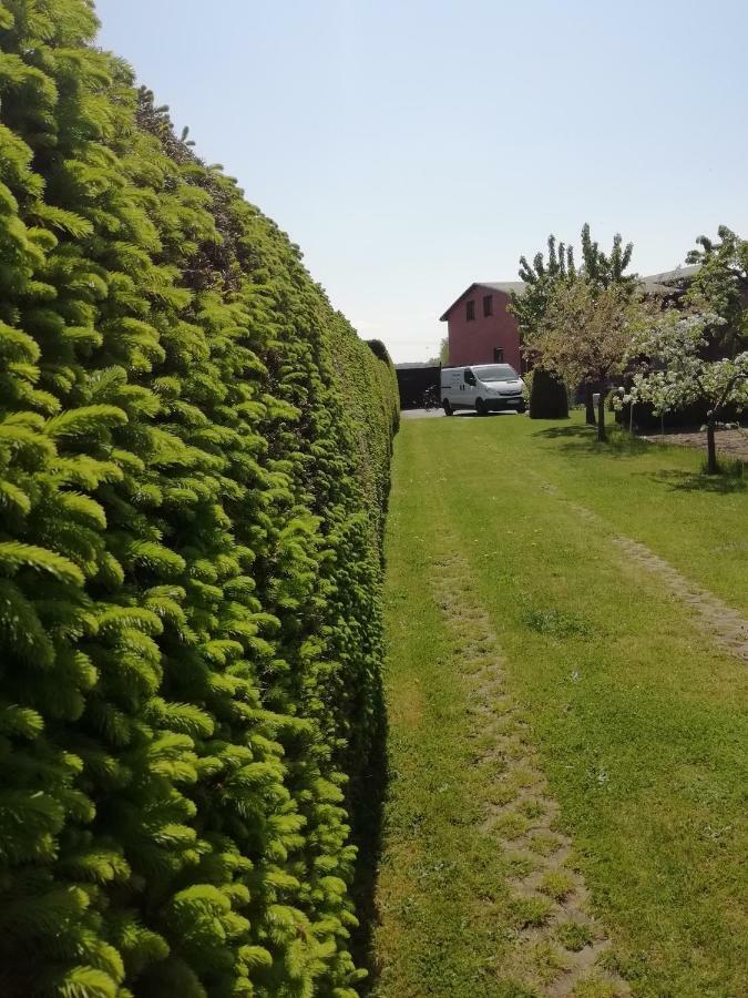 Haeuschen Im Gruenen Villa Jornstorf Exterior photo
